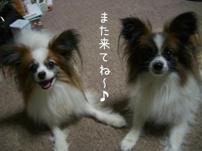訓練所にも出て来いよ〜♪