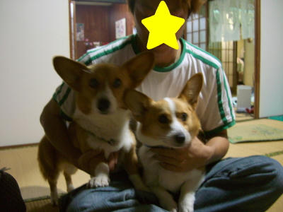ピナ&ナッポ