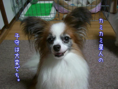 今日もいい汗かいたでち♪