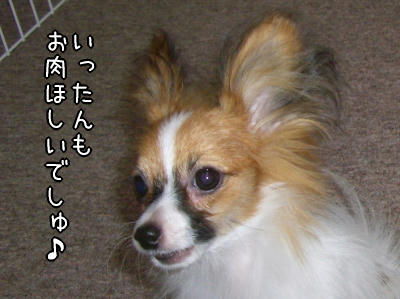 いっちゃんも食べる?