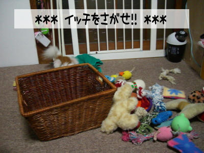 おもちゃと同化すると踏まれるよ。