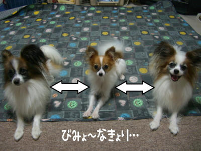 この距離はナゼ？？？