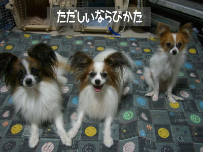 これが正しい並び方(*￣m￣)