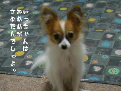 おはようの挨拶は大事でしゅ。
