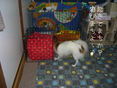 もしも〜し！いますかぁ？