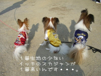 信号?