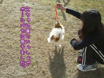 ボールのためなら走るでしゅ!!
