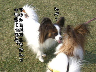 離れなさいよっ!!