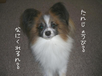 美味しいものいっぱい欲しいです。
