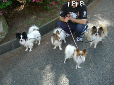 もう１匹いっちゃう？