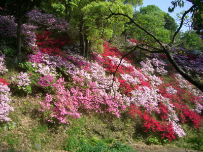 皿山公園