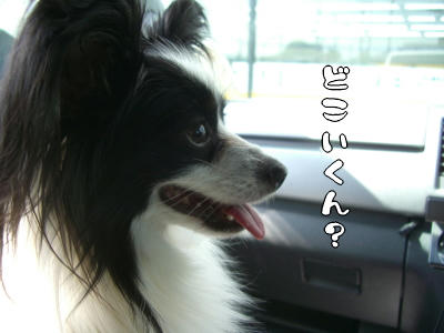 あれ?誰???