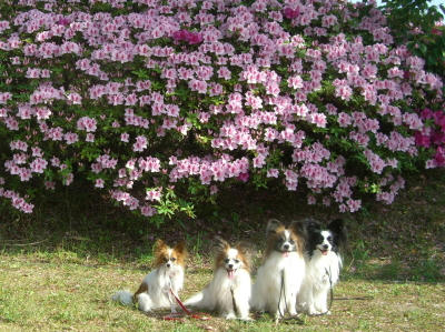 今日のお気に入り写真♪