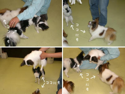 いつまで追いかけるんだい?