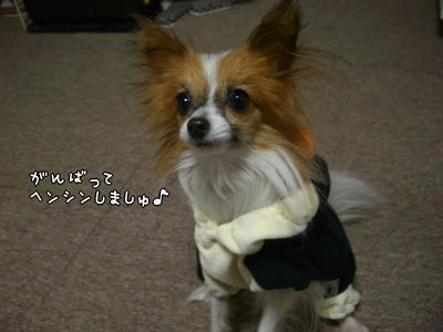 頑張れっ!(* ̄m ̄)