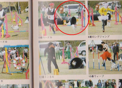 密かに写ってます(*￣m￣)