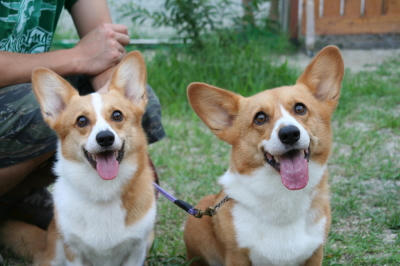 ピナ&ナッポも笑顔〜♪