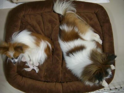 良かったね( ̄ー ̄)v