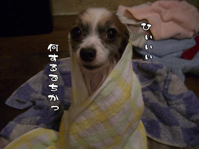 キレイになったね♪