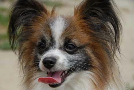 やっぱりクルリン♪