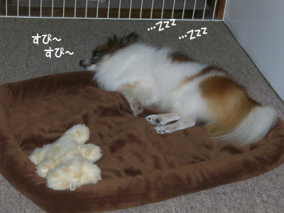 人の話を聞けっ!!