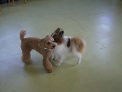 ハーブ&ルフィー