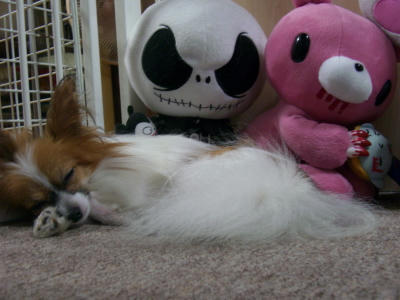 だから危ないんだってば！