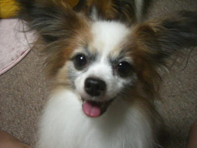 あれ？あれれれれ？