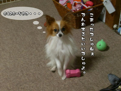 悩み無用でしゅ♪