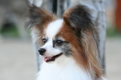 は～。美しい・・・