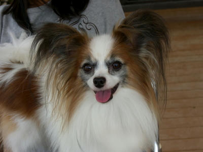 キレイな子だ！