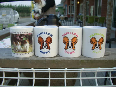 家族４人分〜♪