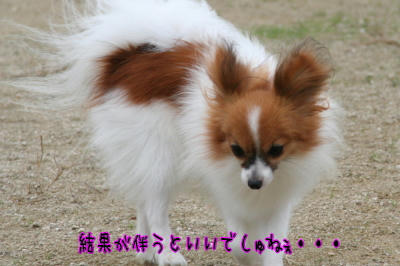 厳しいこと言うなぁ。。。