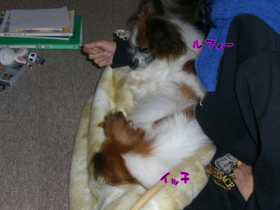 ルフィー＆イッチ