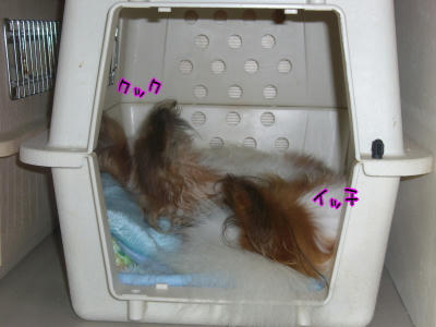 クック＆イッチ