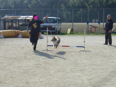 ダンクゥ♪