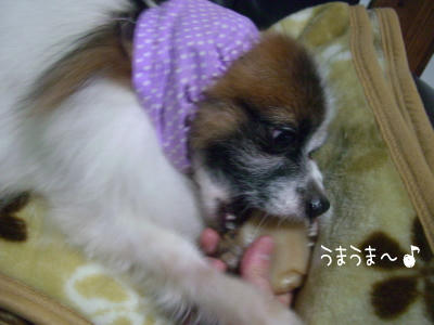 持たさせて頂きます・・・。