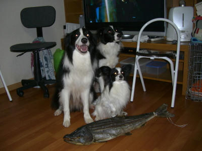 早く下さいっ！