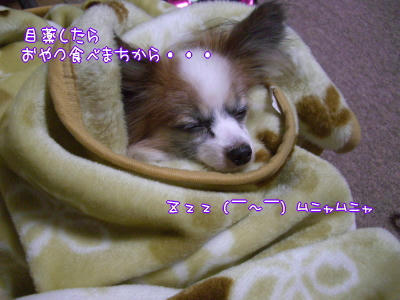 むにゃむにゃ。。。