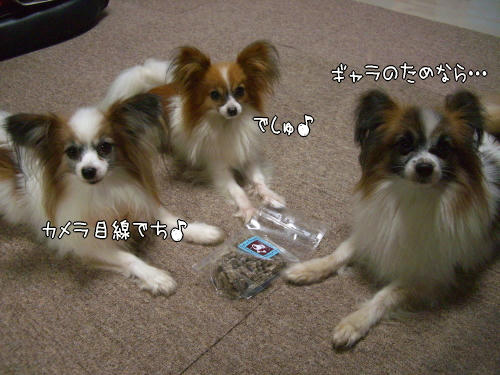 早く開けて！