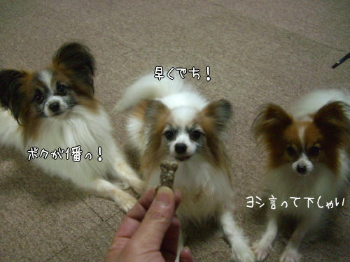 まだ？？？