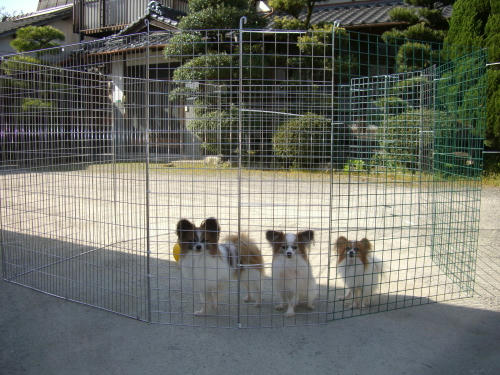 いい天気だねぇ♪