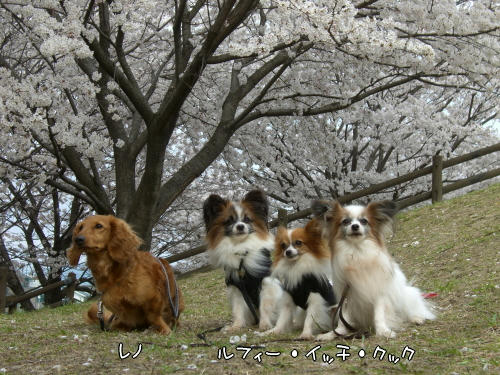 みんないい子だね♪