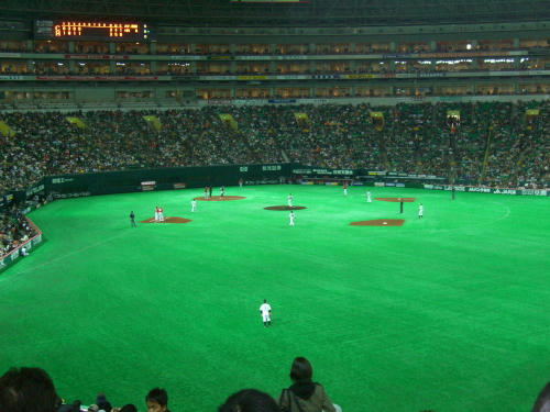 広いねぇ。