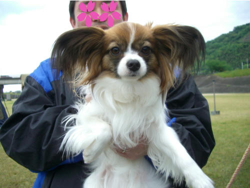 さくらちゃん♪