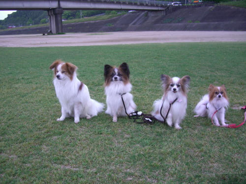 集合写真