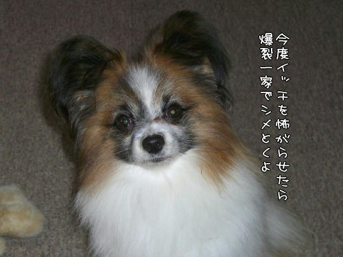 頼むぞ兄ちゃん！