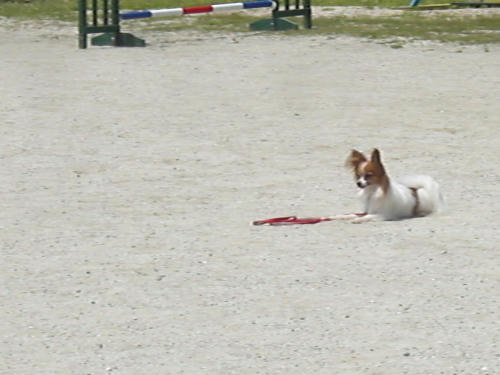 頑張って待つよ♪