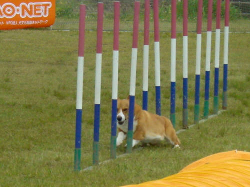 ピナ♪