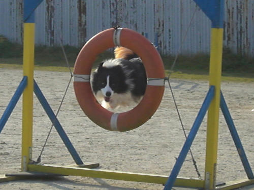 宝